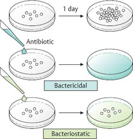 Antibiotic research paper