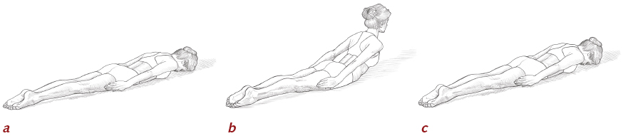 What muscle group allows you to draw your legs to the midline of your body?