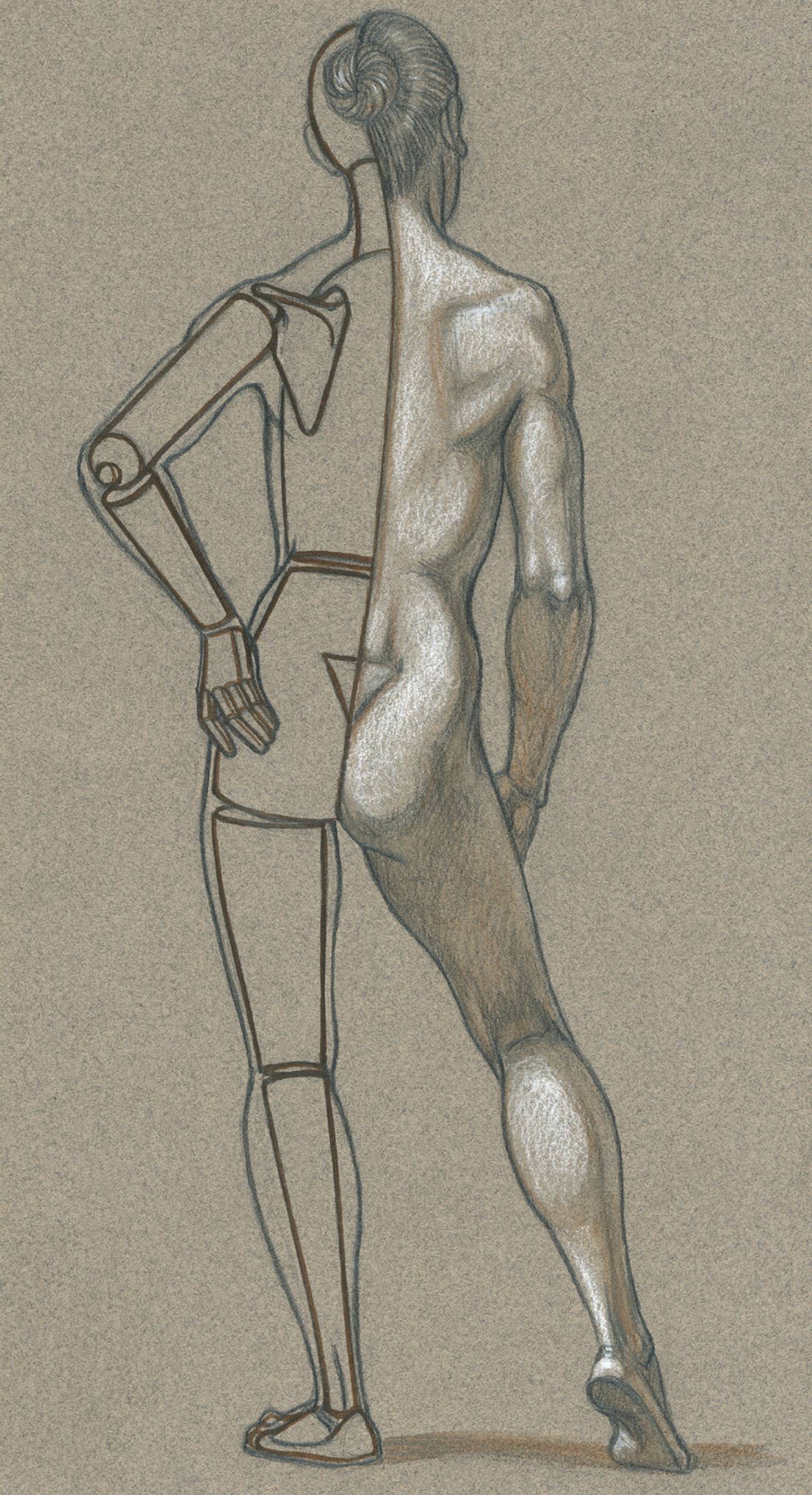 Drawing a human figure