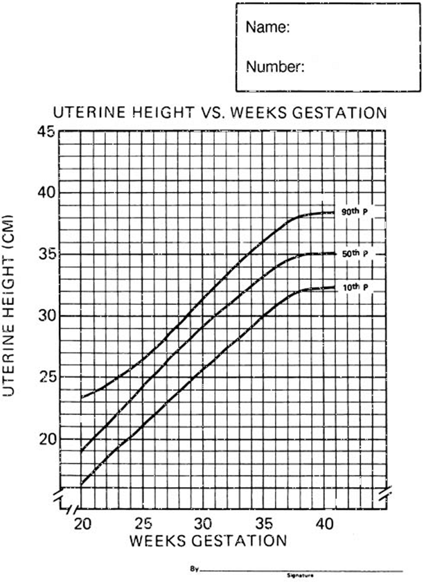 Uterine Height Chart