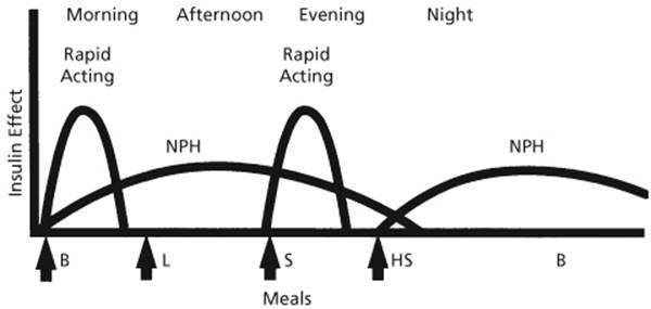 Figure 6.4—Representation of a split mix of NPH and rapid-acting insulin at breakfast, rapid-acting insulin at the evening meal, and NPH at bedtime