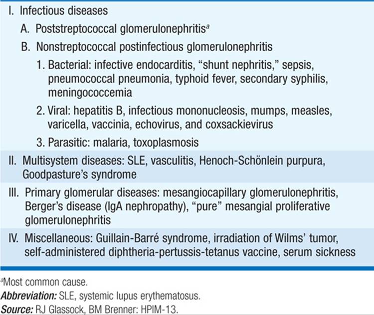 Glomerular Diseases Nephrology Harrisons Manual Of Medicine Th Ed