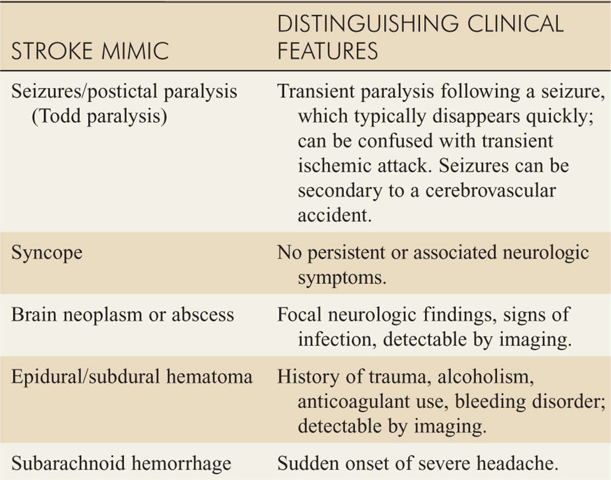 Differential Diagnosis Of Ischemic Stroke Download Ta