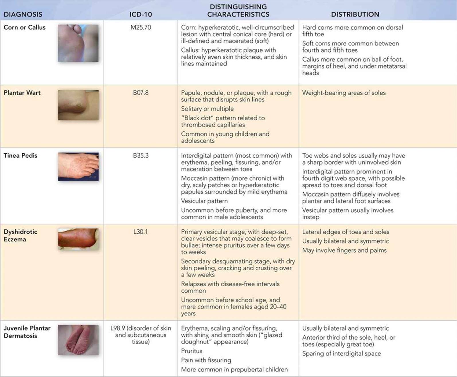 Foot Rashes And Lumps Visual Diagnosis And Treatment In Pediatrics 3 Ed