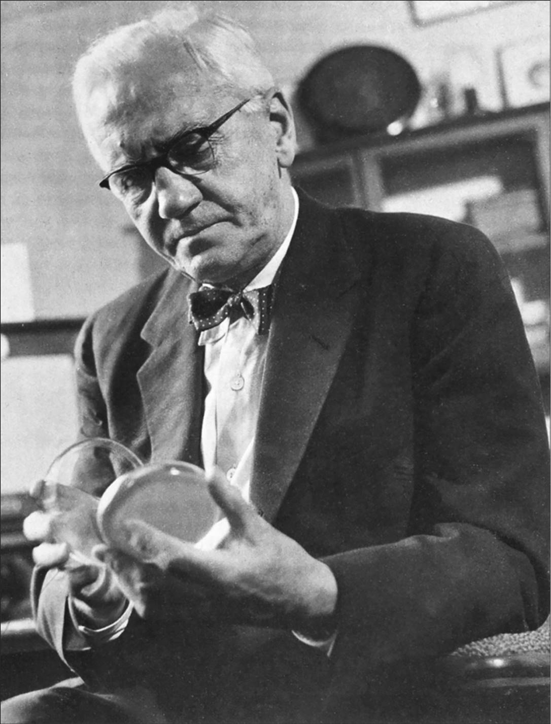  L0000655 Sir Alexander Fleming. Credit: Wellcome Library, London. Wellcome Images images@wellcome.ac.uk http://wellcomeimages.org Sir Alexander Fleming. Published:  -   Copyrighted work available under Creative Commons Attribution only licence CC BY 4.0 http://creativecommons.org/licenses/by/4.0/