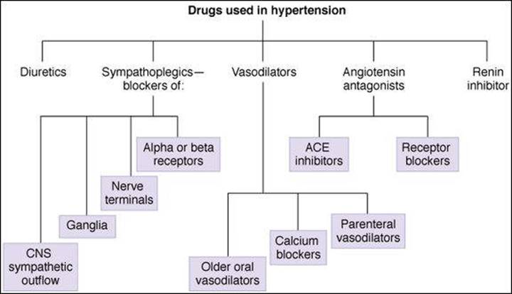 hypertension drug categories