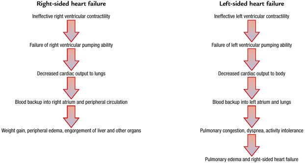 Heart Failure - Atlas of pathophysiology, 2 Edition